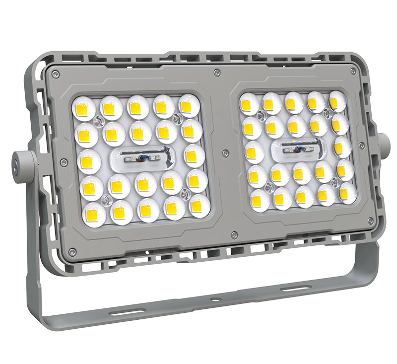 Garteng LED glass lens Floodlight 5